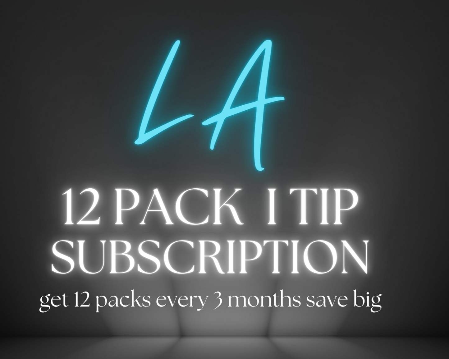 Tempt LA I Tip Subscription Hair Extension Package